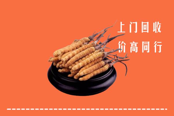 高价求购：华安县回收散虫草