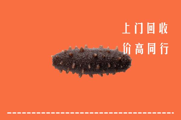 华安县回收海参