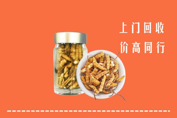华安县回收冬虫夏草