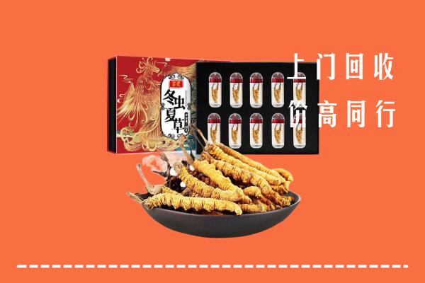 华安县回收虫草